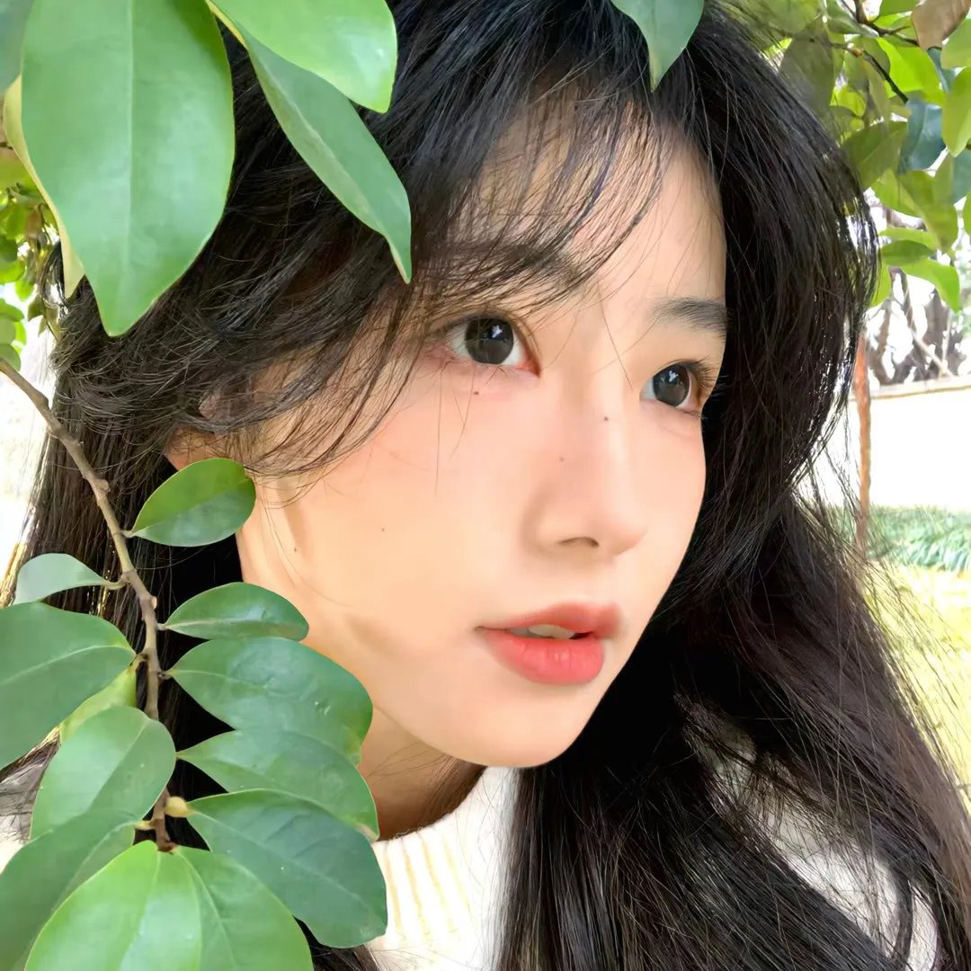 不知名的季节
